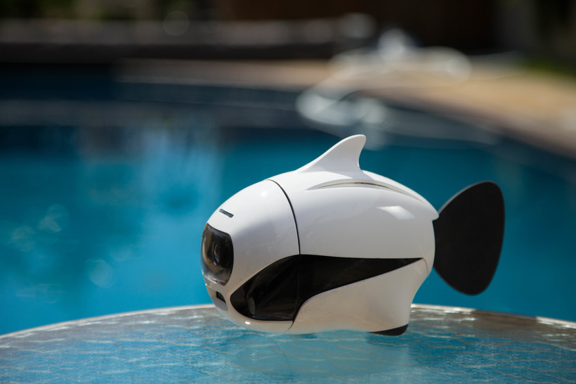 Exploring the Beauty of Underwater World Through Fish Drone