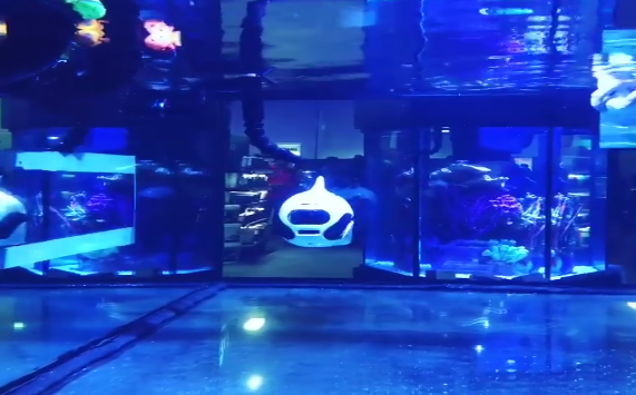 BIKI在美国 ▏水下机器人BIKI受邀参加全球最大的水族馆展览会之一——Aquatic Experience